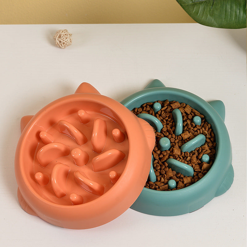 Why Dogs Need Slow Feeder Bowls